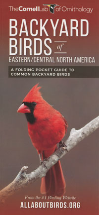 Fold out guide Backyard Birds of Eastern/Central North America