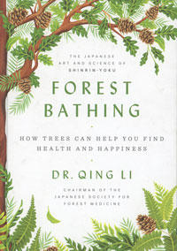 The Japanese Art and Science of Shinrin-Yoku: Forest Bathing