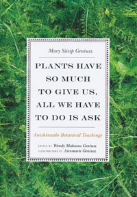 Plants Have So Much to Give Us, All We Have To Do Is Ask