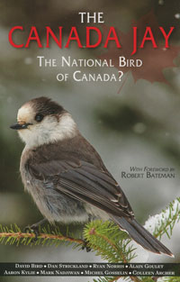 The Canada Jay, The National Bird of Canada?