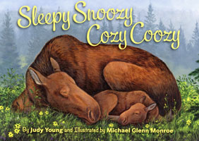 Sleepy Snoozy Cozy Coozy Board Book