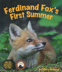 OUT OF STOCK/UNAVAILABLE Ferdinand Fox's First Summer