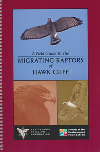 A Field Guide to the Migrating Raptors of Hawk Cliff
