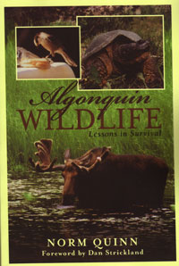 Algonquin Wildlife - Lessons in Survival