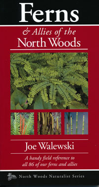 OUT OF STOCK/UNAVAILABLE Ferns and Allies of the North Woods