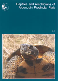 OUT OF STOCK/UNAVAILABLE Reptiles and Amphibians of Algonquin Provincial Park