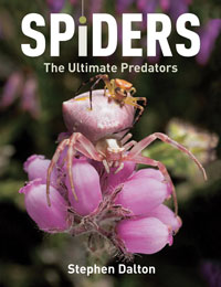 Spiders The Ultimate Predator