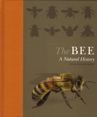 OUT OF STOCK/UNAVAILABLE The Bee