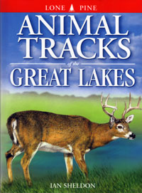 OUT OF STOCK/UNAVAILABLE Animal Tracks of the Great Lakes