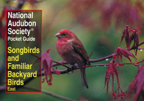 Songbirds and Familiar Backyard Birds, National Audubon Society Pocket Guide