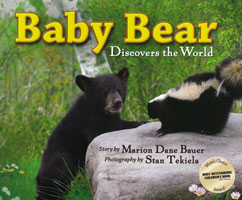 Baby Bear Discovers the World