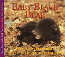 OUT OF STOCK/UNAVAILABLE Baby Black Bear