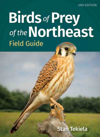 Birds of Prey of the Northeast Field Guide