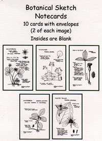 OUT OF STOCK/UNAVAILABLE Botanical Sketch Notecards