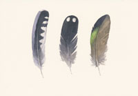 OUT OF STOCK/UNAVAILABLE Waterbird Feathers Boxed Note Cards