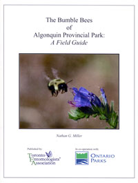The Bumble Bees of Algonquin Provincial Park