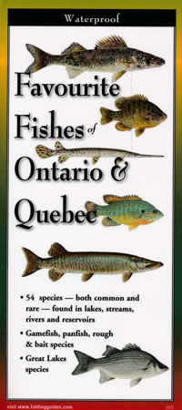 OUT OF STOCK/UNAVAILABLE Fold Out Guide, Favourite Fishes of Ontario and Quebec