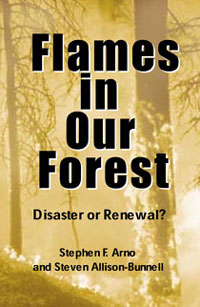 Flames in our Forest