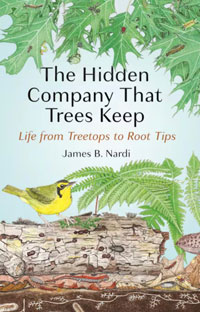 The Hidden Company That Trees Keep