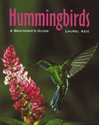 OUT OF STOCK/UNAVAILABLE Hummingbirds