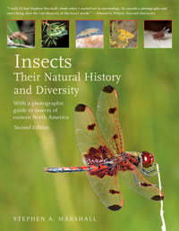 Insects:  Their Natural History and Diversity