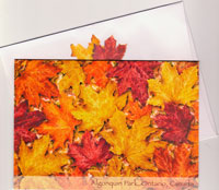 OUT OF STOCK/UNAVAILABLE Fall Leaves Note Card
