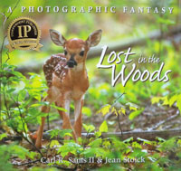 OUT OF STOCK/UNAVAILABLE Lost in the Woods