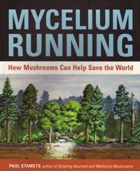 OUT OF STOCK/UNAVAILABLE Mycelium Running