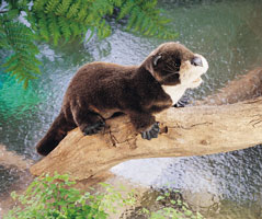 OUT OF STOCK/UNAVAILABLE River Otter Puppet