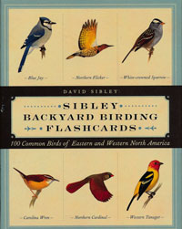 OUT OF STOCK/UNAVAILABLE Sibley Backyard Birding Flashcards