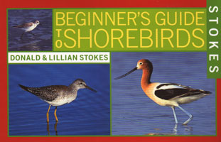 OUT OF STOCK/UNAVAILABLE Shorebirds, Stokes Beginner's Guide