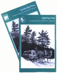 Big Pines Trail