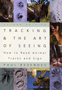 Tracking and the Art of Seeing