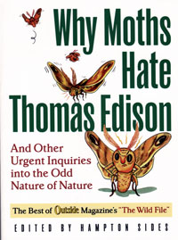 OUT OF PRINT/UNAVAILABLE Why Moths Hate Thomas Edison