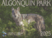 2025 Algonquin Park Calendar
