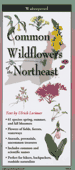 Fold Out Guide Common Wildflowers of the Northeast