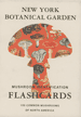 Mushroom Identification Flashcards