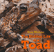 The Hidden Life of a Toad