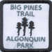 Big Pines Crest