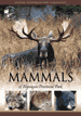 Mammals of Algonquin Provincial Park