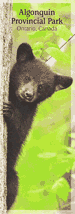 Bookmark - Black Bear Cub