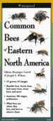 Fold Out Guide, Common Bees of Eastern North America