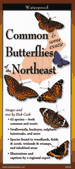 Fold Out Guide, Common Butterflies of the Northeast