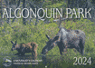 2024 Algonquin Park Calendar