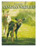 Canadian Wildlife Playing Card Deck