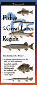 Fold Out Guide, Fishes of the Great Lakes Region