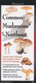 Fold Out Guide, Common Mushrooms of the Northeast