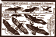 Hawks, Eagles and Vultures of the Northeast and Midwest