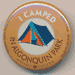 I Camped in Algonquin Park See Saw Badge