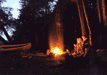 #62. Campfire Memories